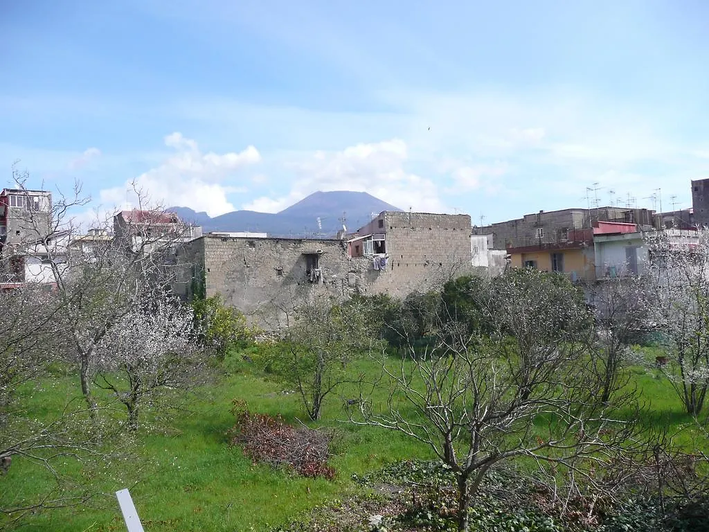 Herculis Domus Ercolano Italy